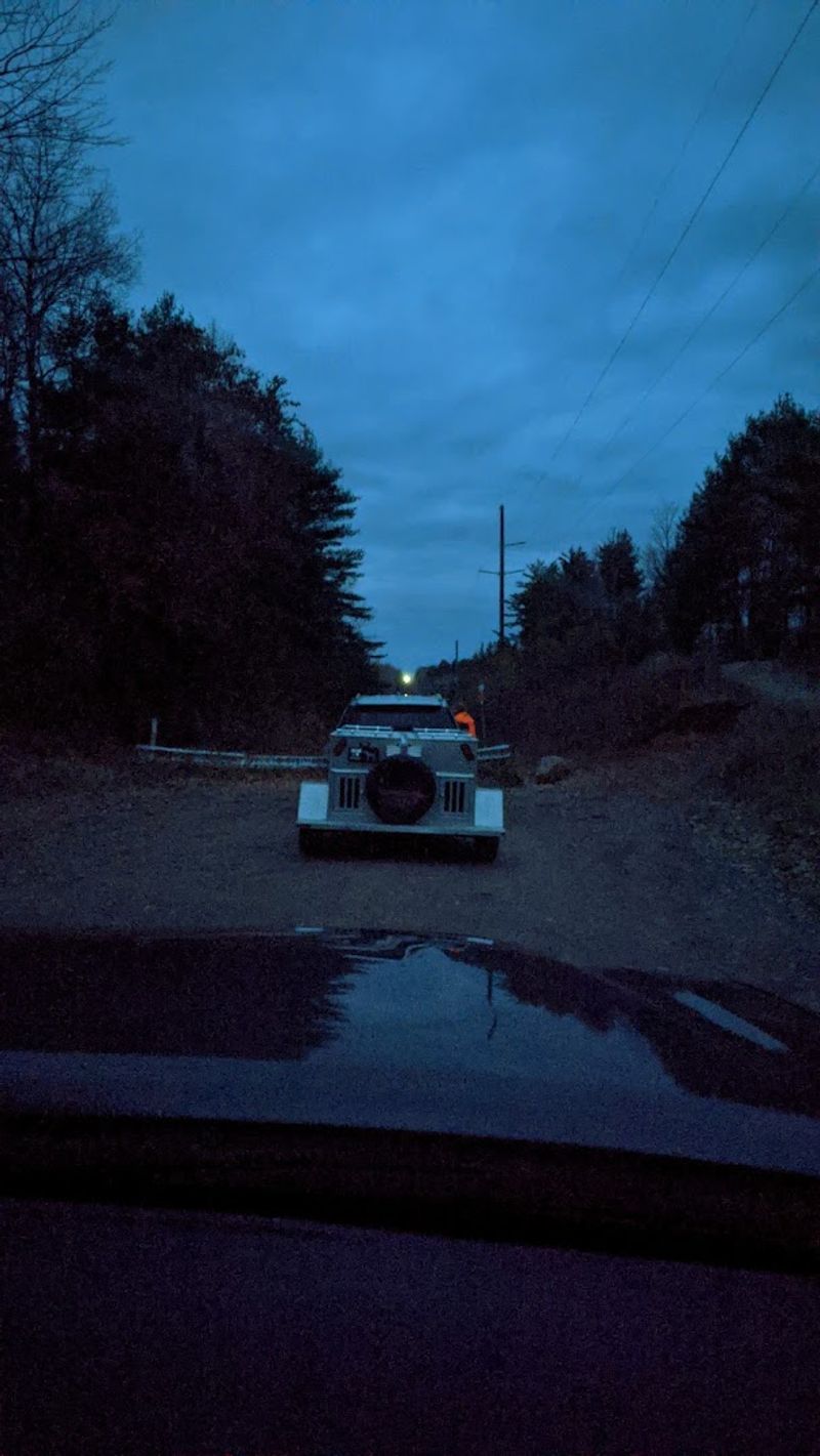 The Crowd That Gathers After Dark