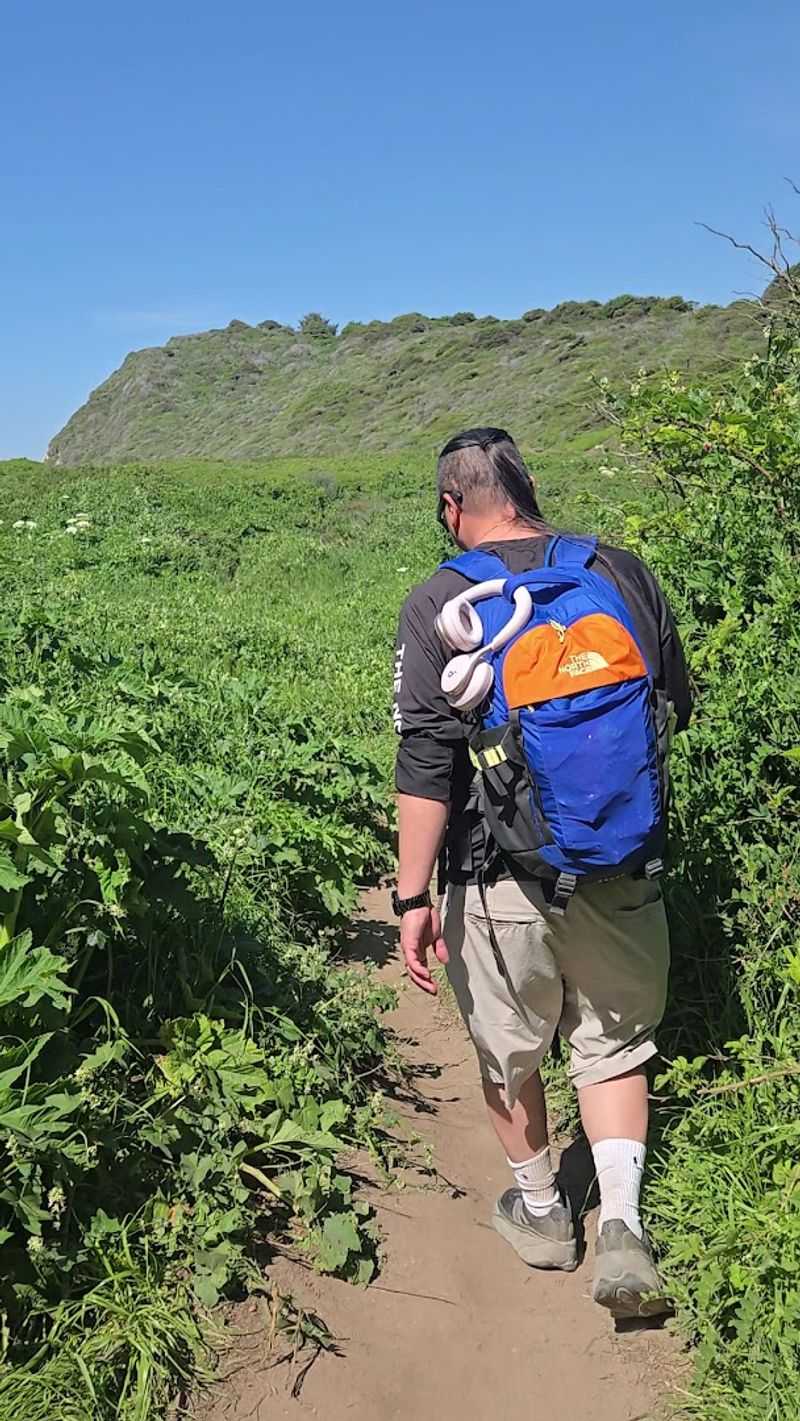 Finding the Hidden Turn to the Falls