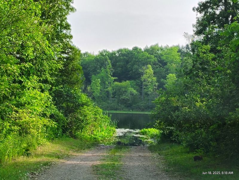 Lakes Scattered Like Mirrors Across the Land