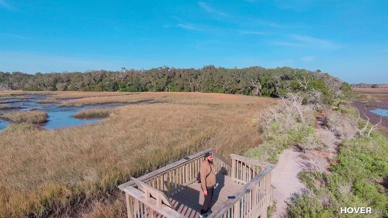 The Hidden Pond: What Makes It Worth the Walk