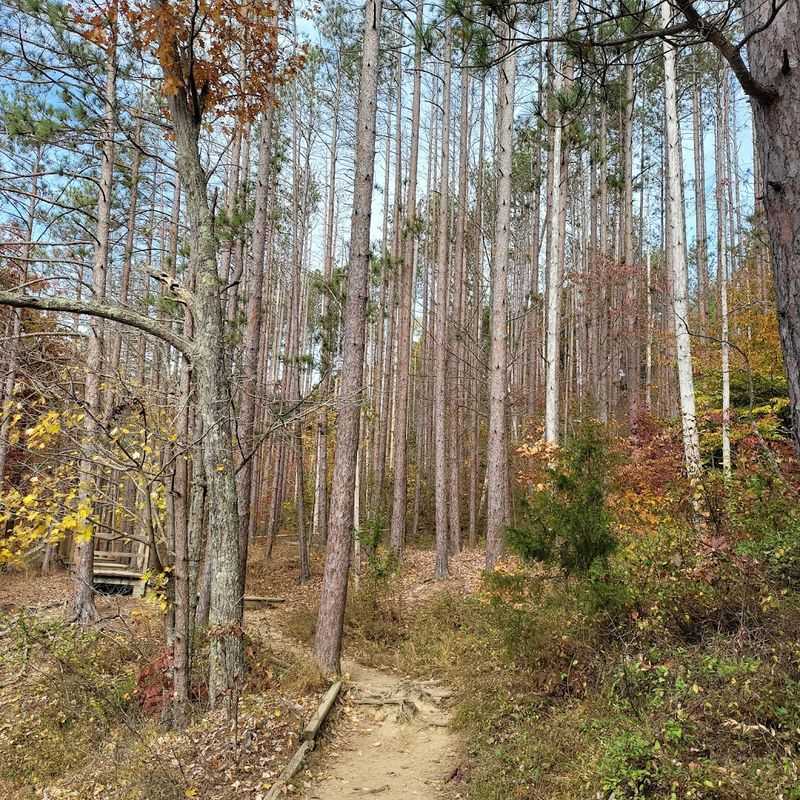Mountain Biking That Rivals Anything in the Midwest