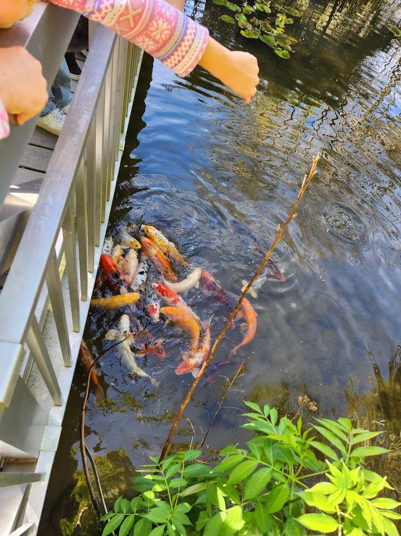 Butterflies, Bees, and Wildlife: The Garden's Uninvited (and Welcome) Guests