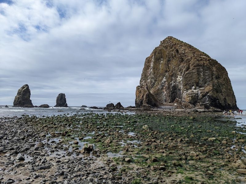 Tide Pools at the Base: A Living Marine Garden Worth Exploring