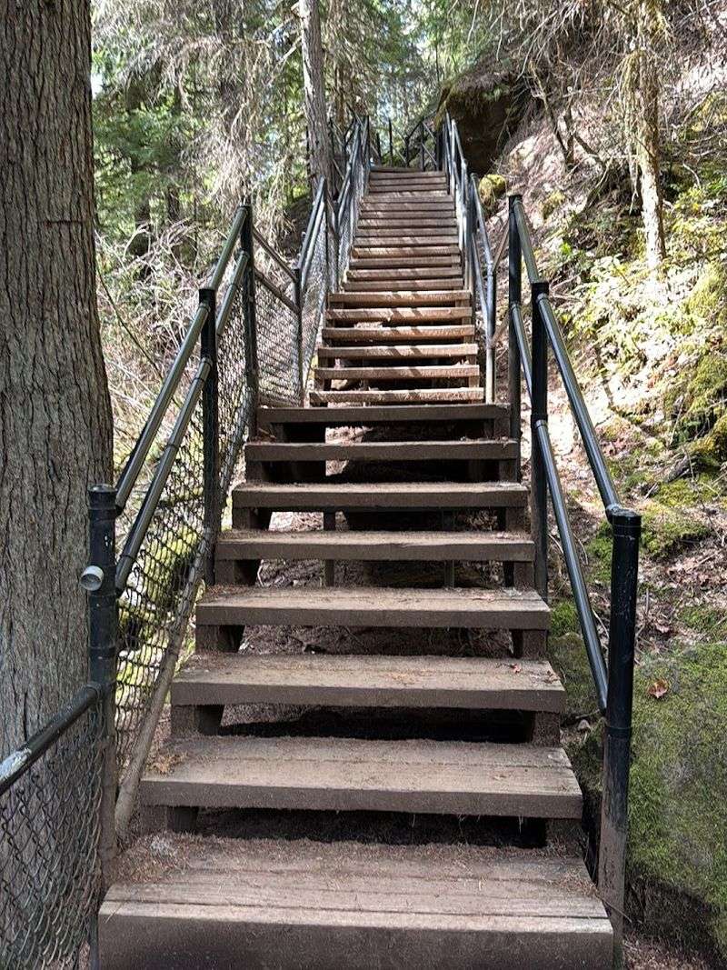 What the Trail Actually Feels Like to Walk