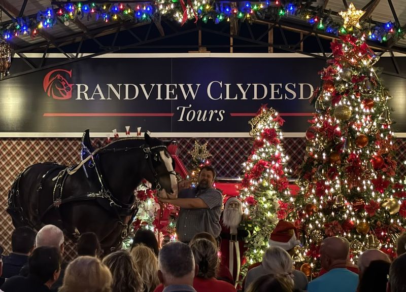 The Christmas Tour and Seasonal Events