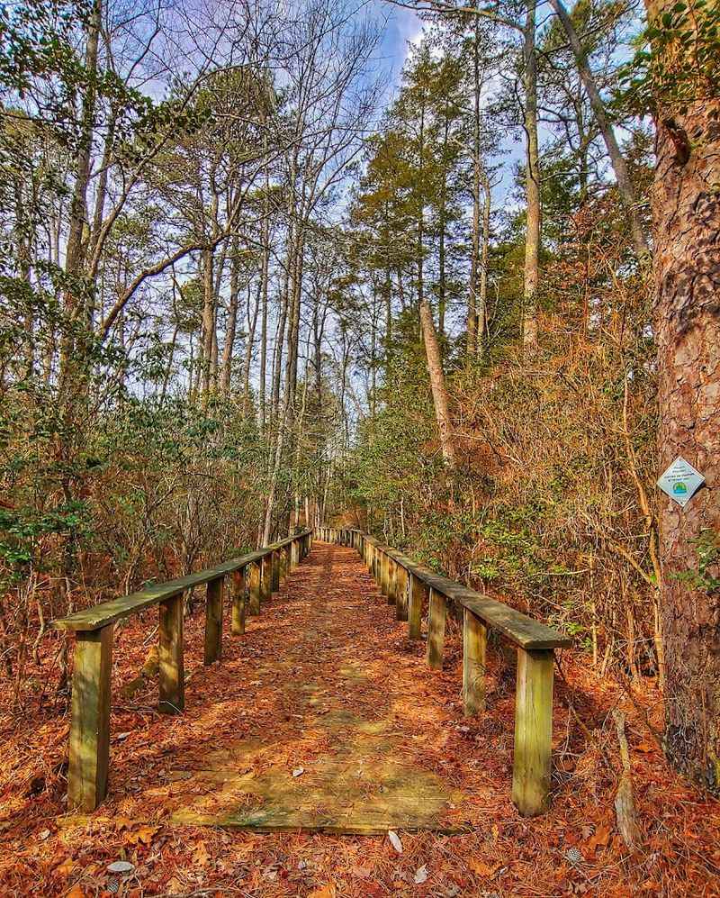 Fitness Trails and an Orienteering Course