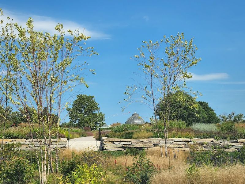 What the Paths and Layout Feel Like on the Ground