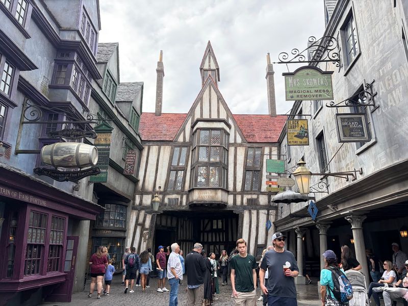 Diagon Alley as the Surrounding World