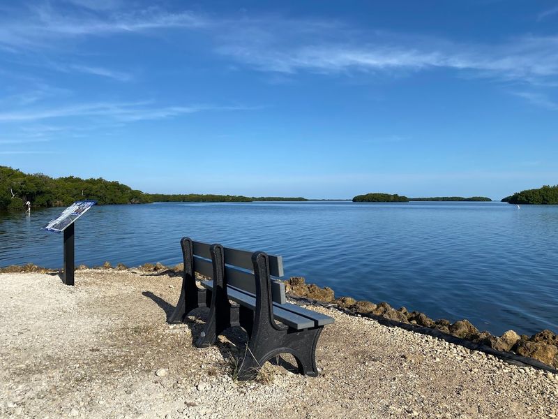 Bring The Right Little Extras