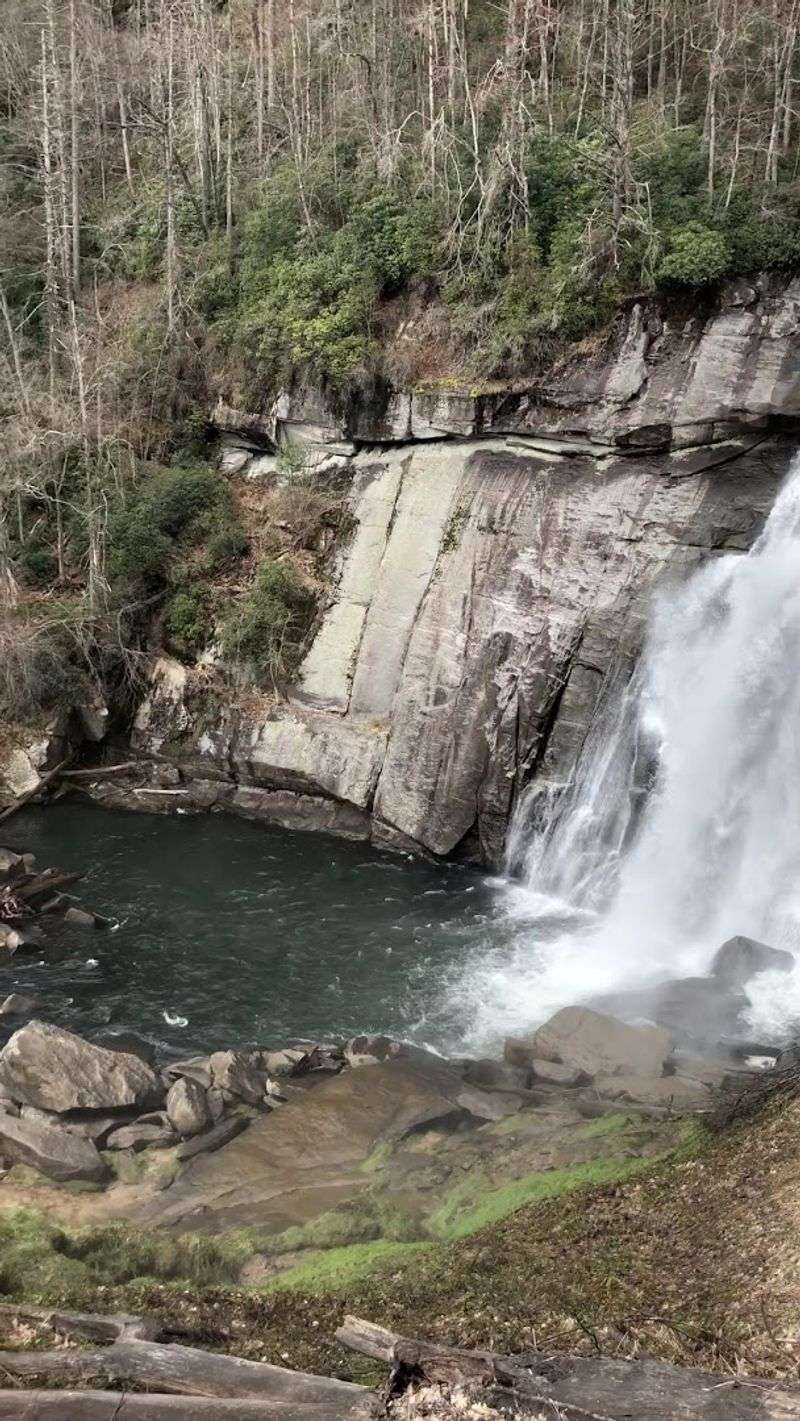 Rainbow Falls Trail: The Star of the Show