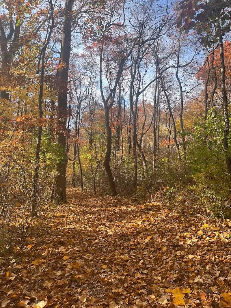 Best Times to Visit and What to Expect Each Season