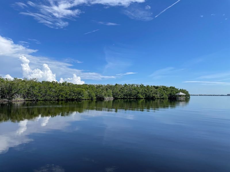 Kayaking the Cove: A Water-Level Perspective