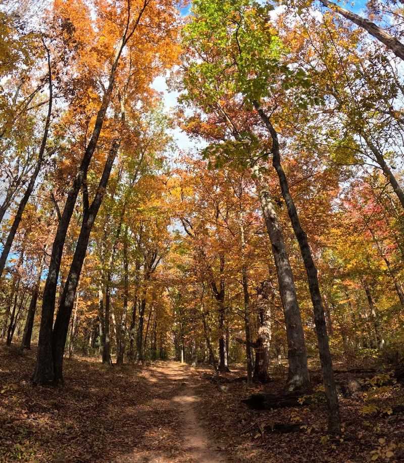 Trails That Cover Miles of Varied and Rewarding Terrain