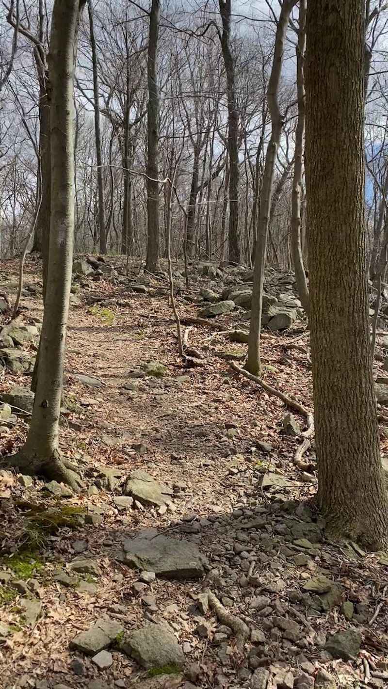 The First Climb and What to Expect Right Away