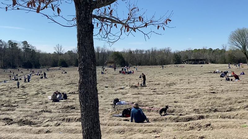 What a Typical Day at the Diamond Field Looks Like