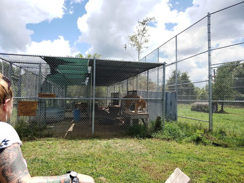 Accessibility for Every Visitor