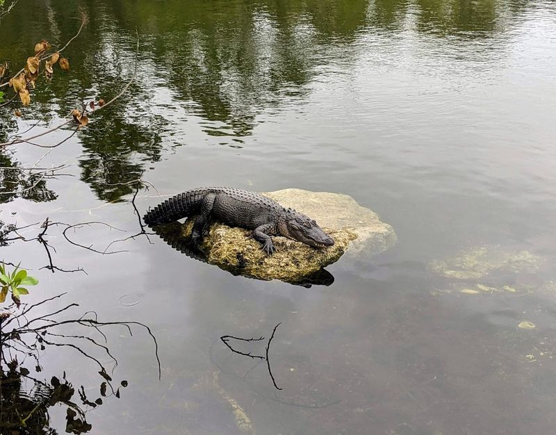 Best Time of Day and Year to Visit