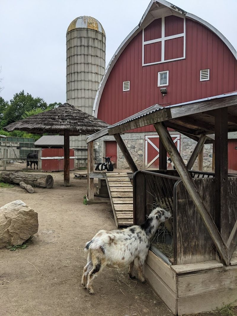 The Farmyard Where Kids Get Hands-On