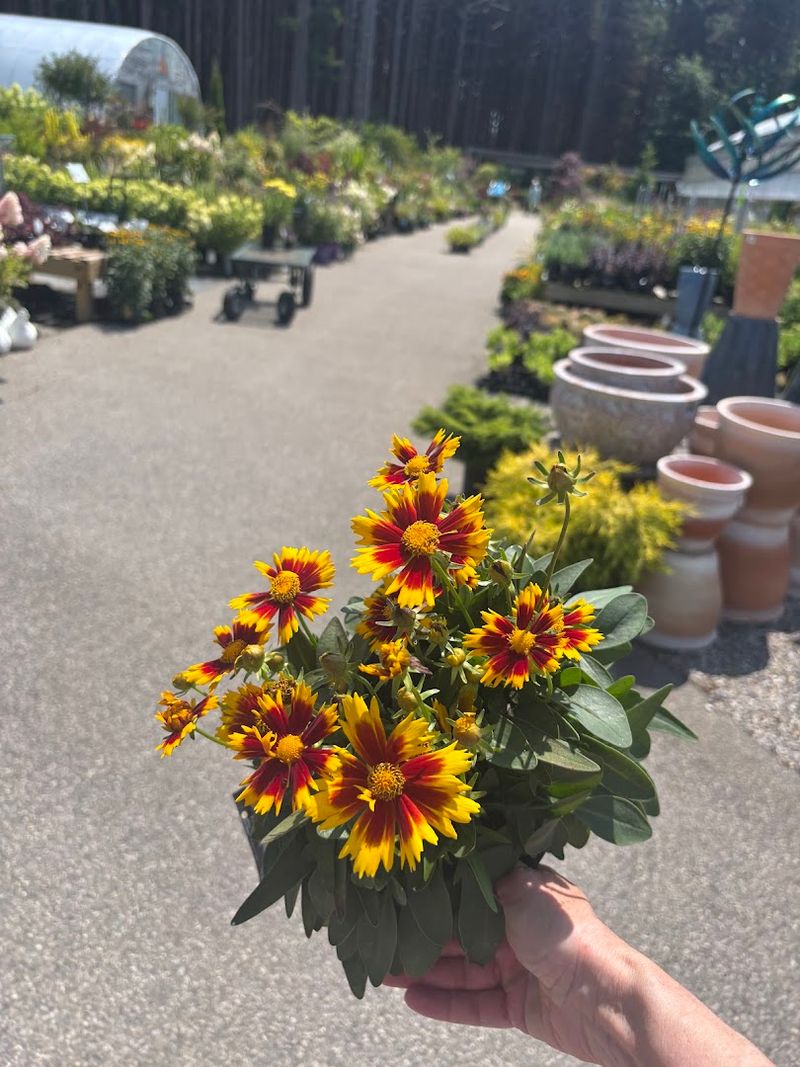 U-Pick Flowers That Make the Visit Personal