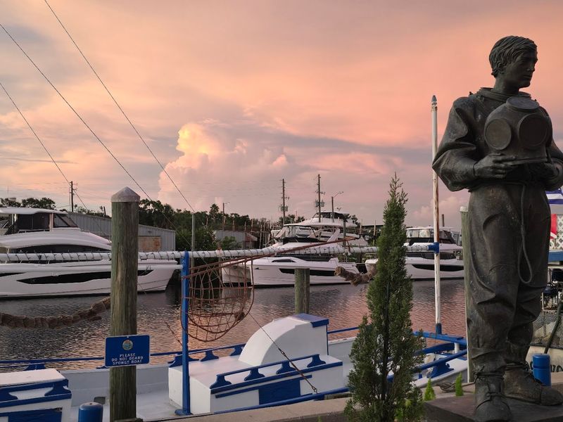 Dolphin Tours and Sunset Cruises on the Gulf