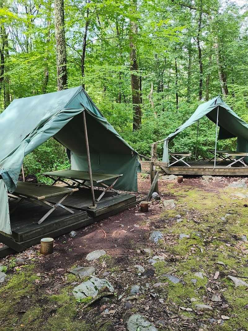 Cabin Accommodations and Camping Options