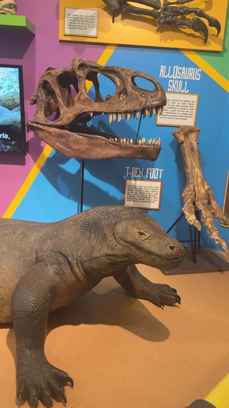 The Mirror Maze Next Door