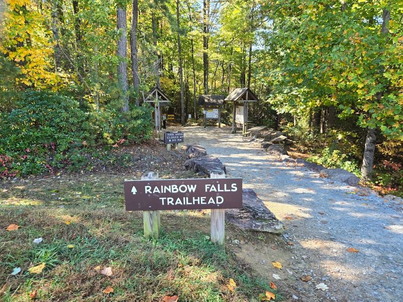 Tips for First-Time Visitors: What to Know Before You Go