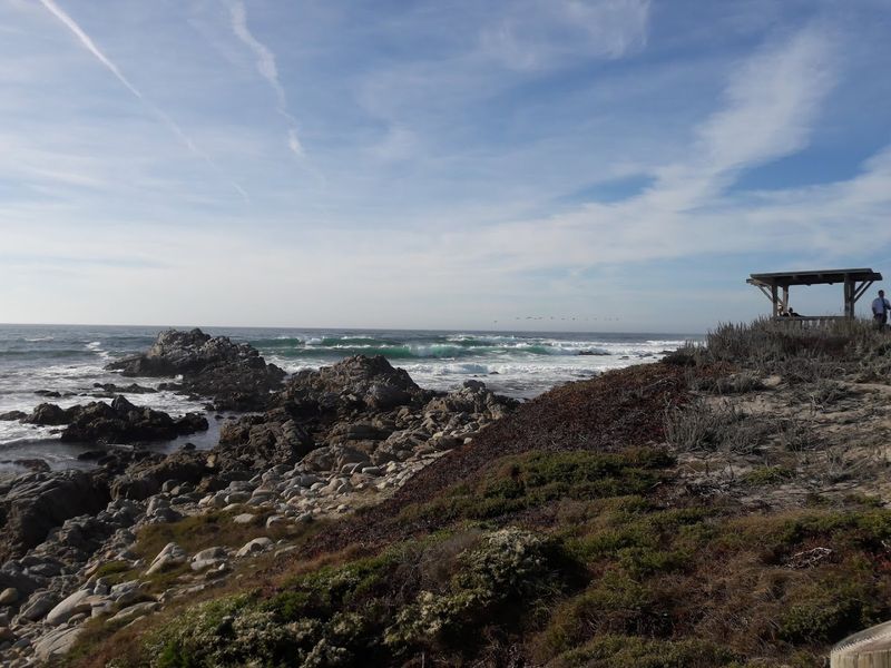 The Coastal Dunes That Frame the Shoreline