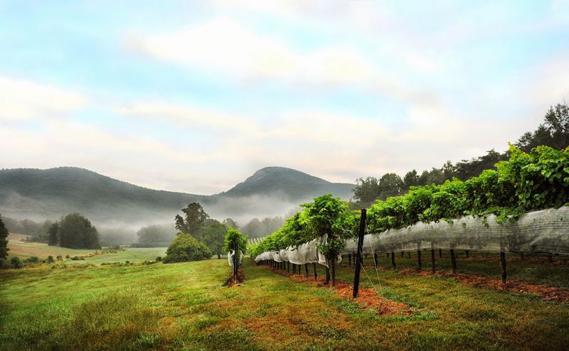 The Views: Mountain Scenery That Stops You Mid-Sentence