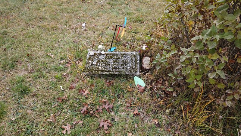 What Visitors Have Actually Reported Experiencing Here