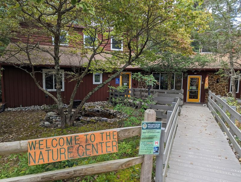 The Nature Center: Reptiles, Exhibits, and a Gift Shop