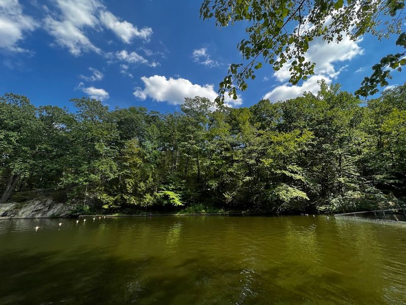 Why No Chemicals Is a Bigger Deal Than It Sounds