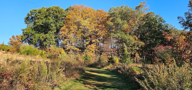 Seasonal Beauty That Shifts Throughout the Year