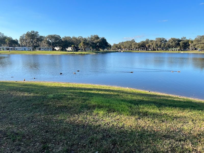 The Floridan Aquifer: The Real Star Underground