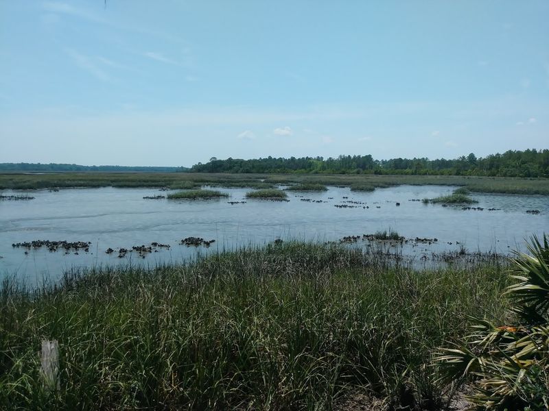 Salt Marshes and Wetlands That Take Your Breath Away