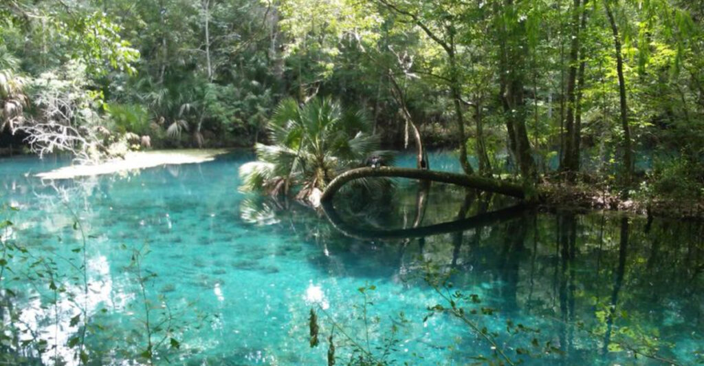 These 10 Stunning Florida Rivers Feel Like Hidden Tropical Escapes