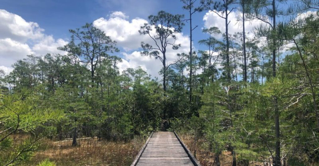 These 11 Secret Florida Spots Are Hiding in Plain Sight