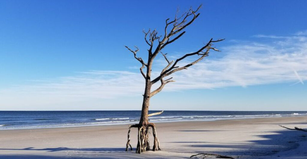 These 8 Secret Florida Beaches Feel Almost Untouched