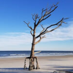 These 8 Secret Florida Beaches Feel Almost Untouched