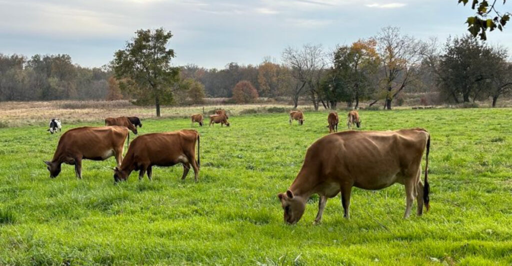 This 200-Year-Old New Jersey Farm Quietly Produces Some Of The State’s Most Sought-After Cheeses