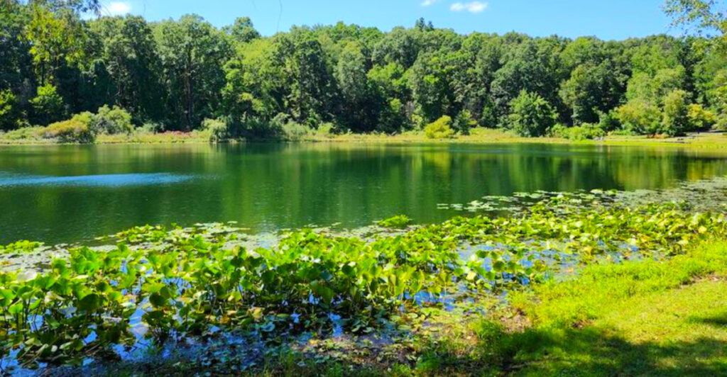 This 755-Acre Garden Hidden in Southern Michigan Feels Like a Secret Nature Escape