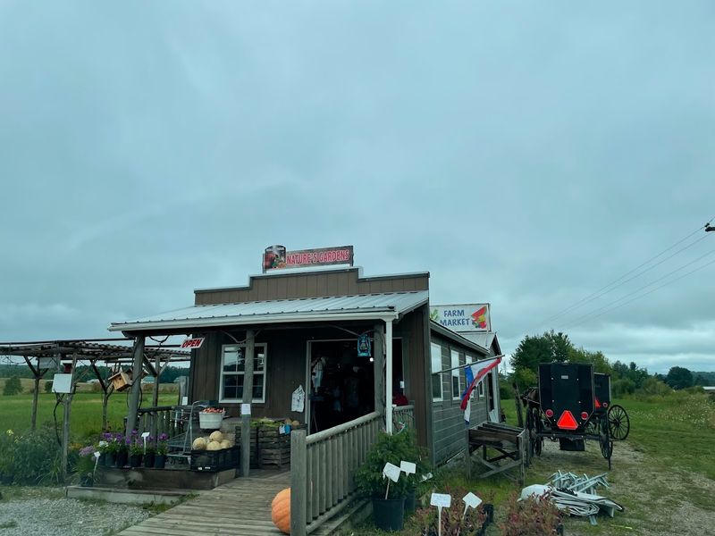 Where You Can Actually Find It