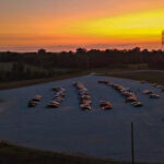 This April, Relive the Past at These 11 Drive-In Theaters in Kentucky