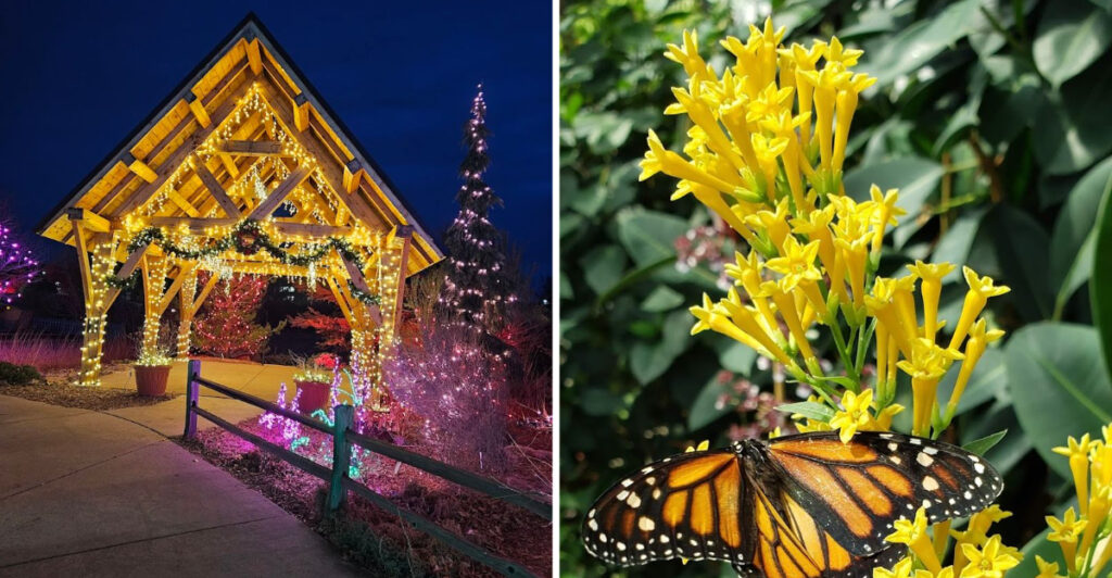 This Beautiful Garden in Colorado Is Filled With Colorful Blooms and Peaceful Paths