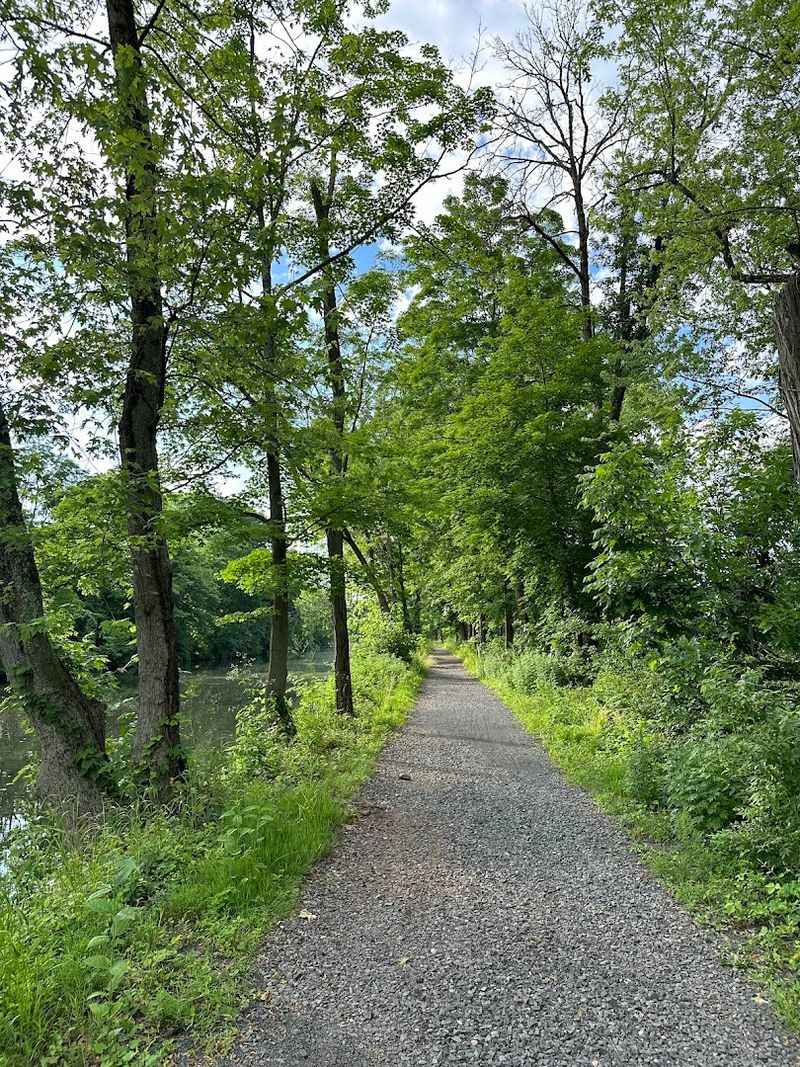 Where the Trail Begins: Address and Location Details