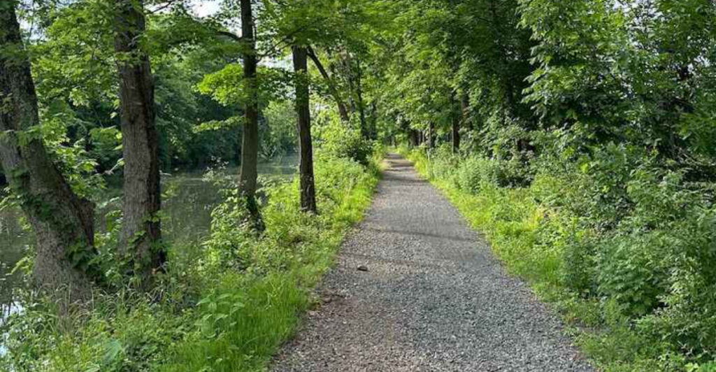This Charming New Jersey Trail Is Perfect for Seniors Who Love Scenic Strolls