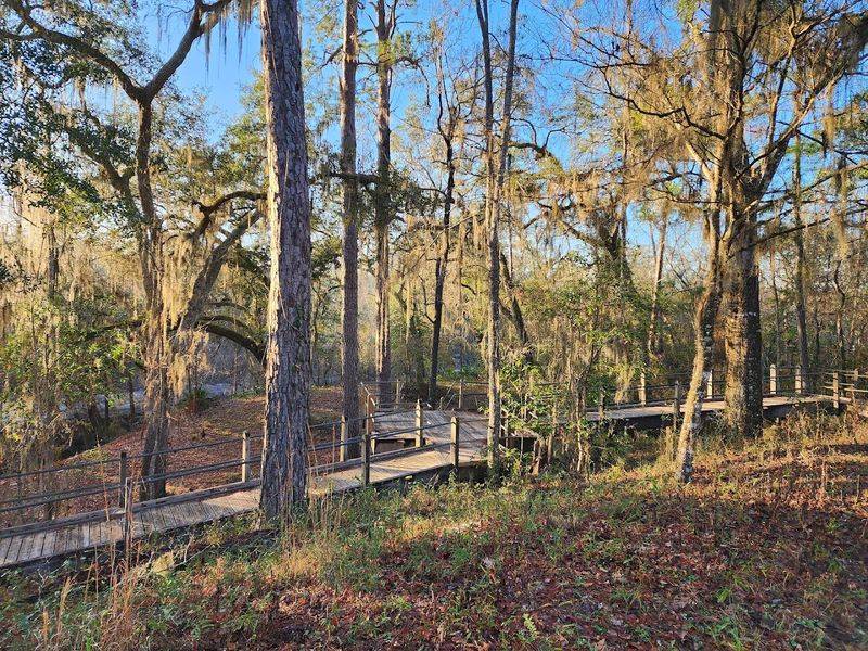 Where the Park Calls Home