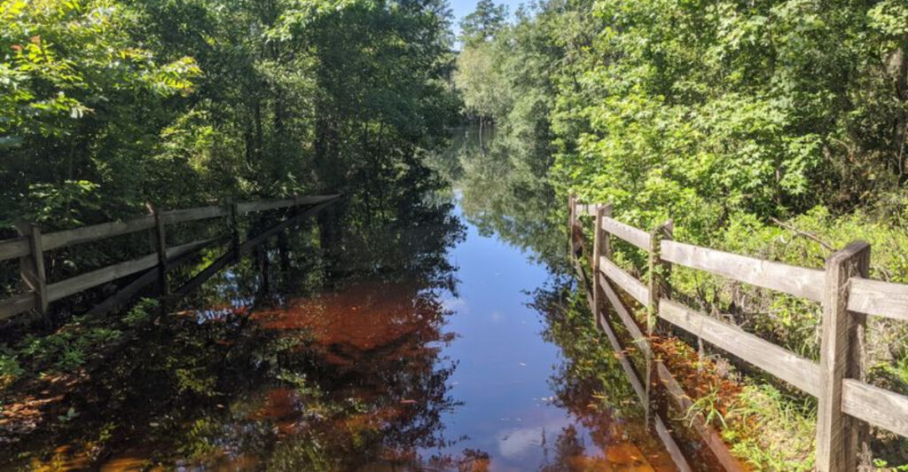 This Charming North Florida Park Celebrates Music, Culture, and Old Florida Traditions