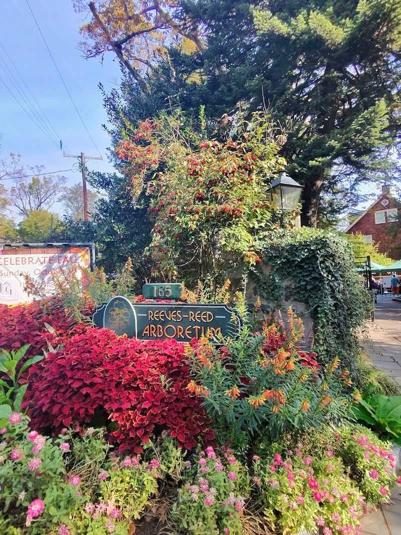 Where to Find It and What to Expect