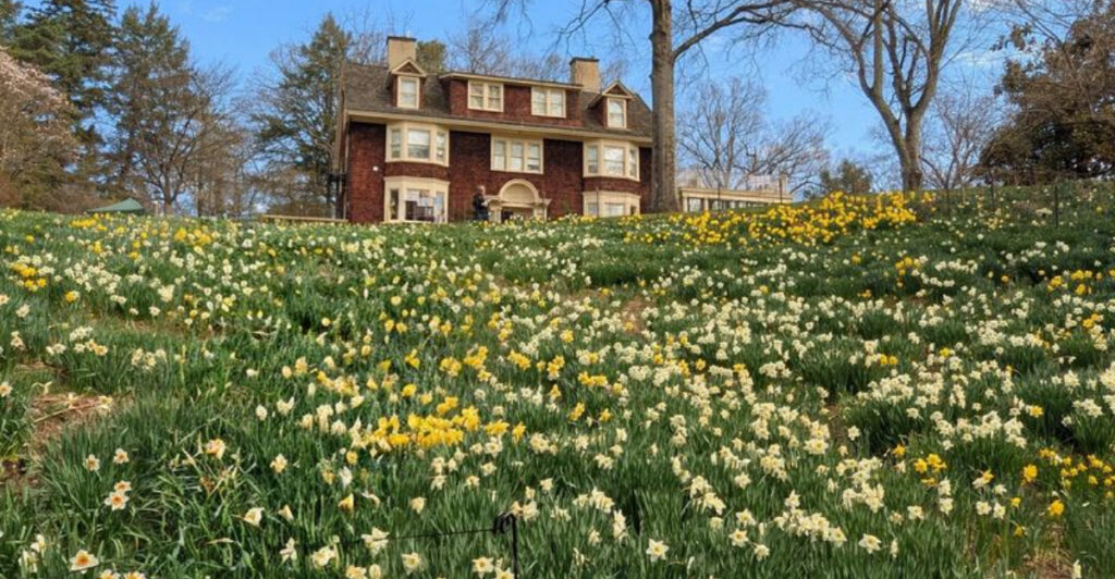 This Charming Summit Destination Offers Flowers, History, and Quiet Magic